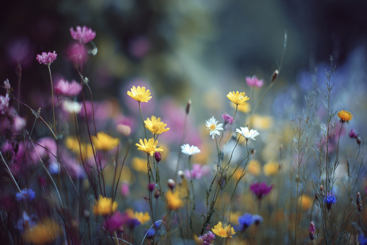 Craft Clipart Image 19