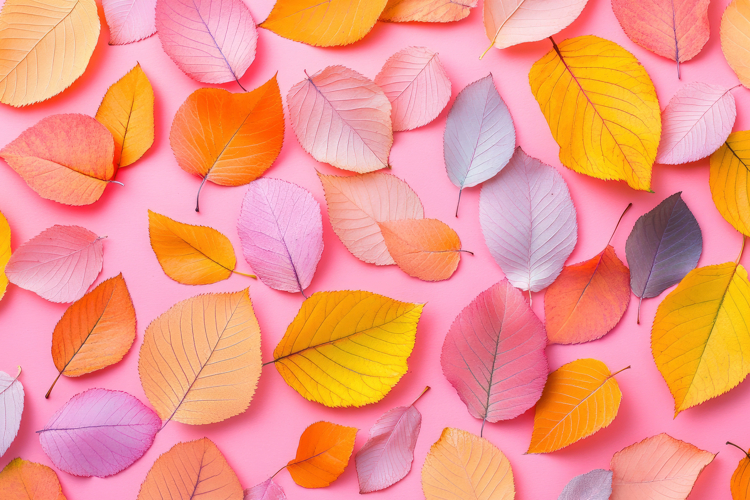 Colorful Background Image 24