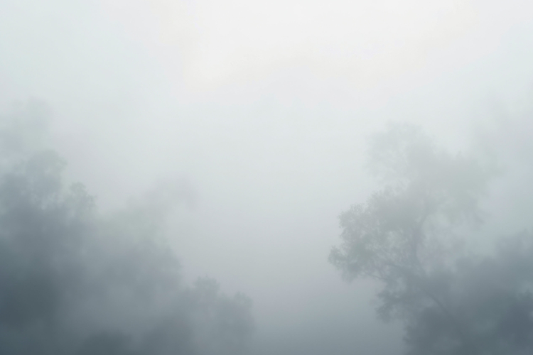 Fog Texture Image 16