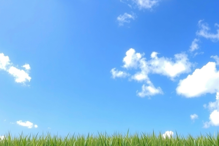 Sublimation Background Image 8