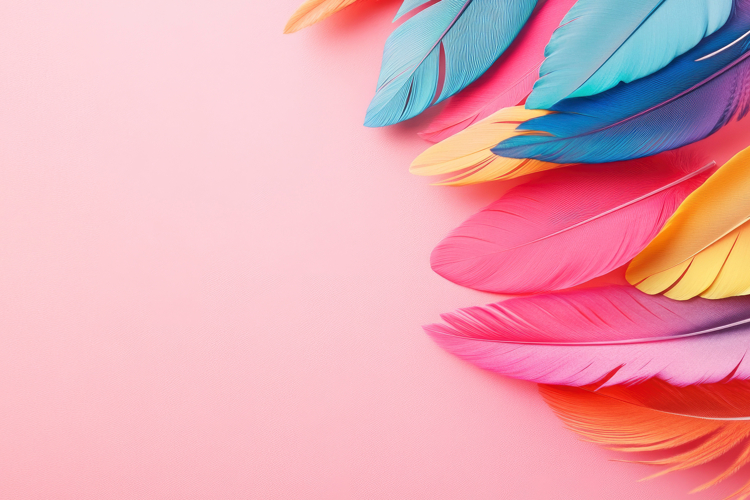 Feathers Clipart
