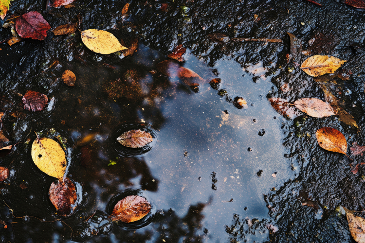 Water Background Image 6