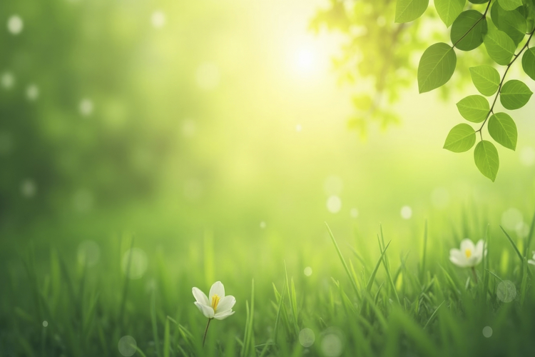 Spring Background Wallpaper