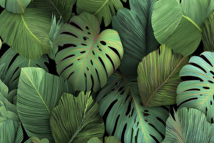 Leaves Background Image 5