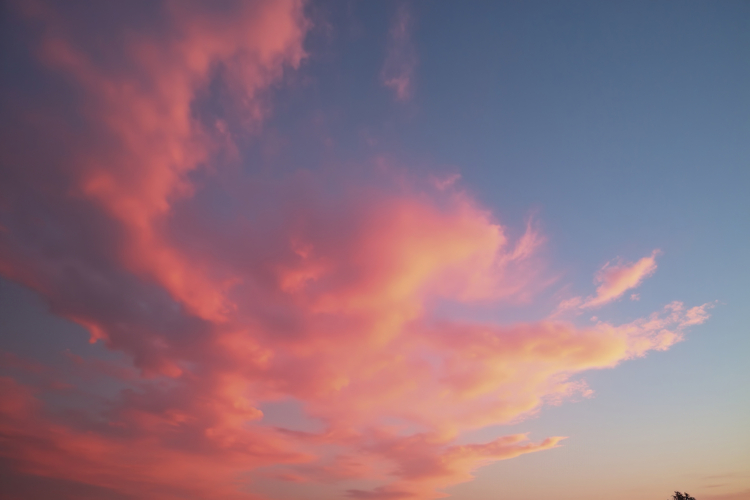 Pink Texture Background Image 8