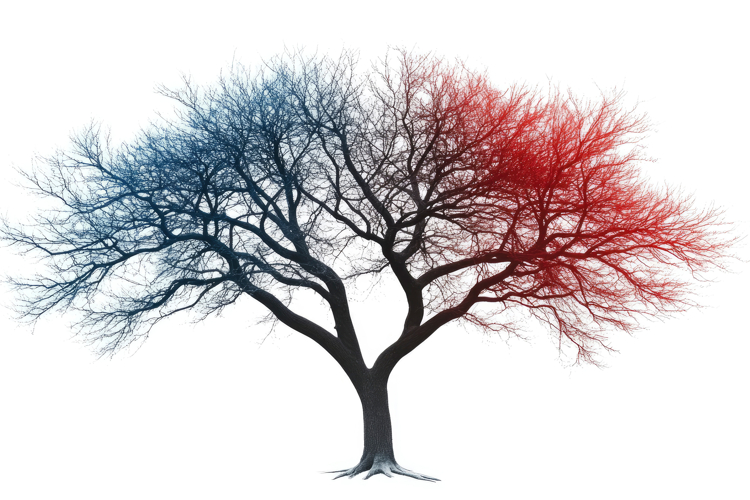 Tree Background Image 5