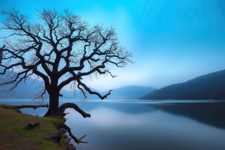 Tree With Nature Background