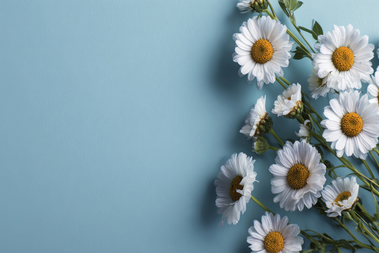 Craft Clipart Image 14