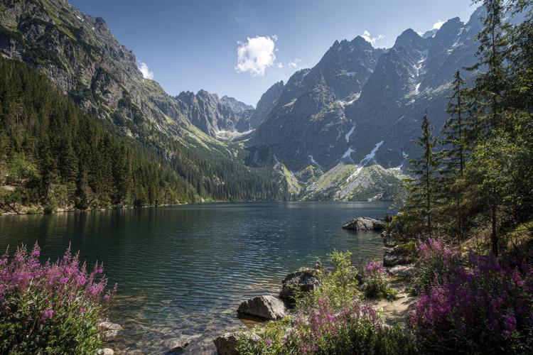 Lake and Mountains Background Wallpaper