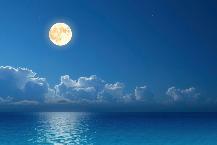 Moon Texture Image 4