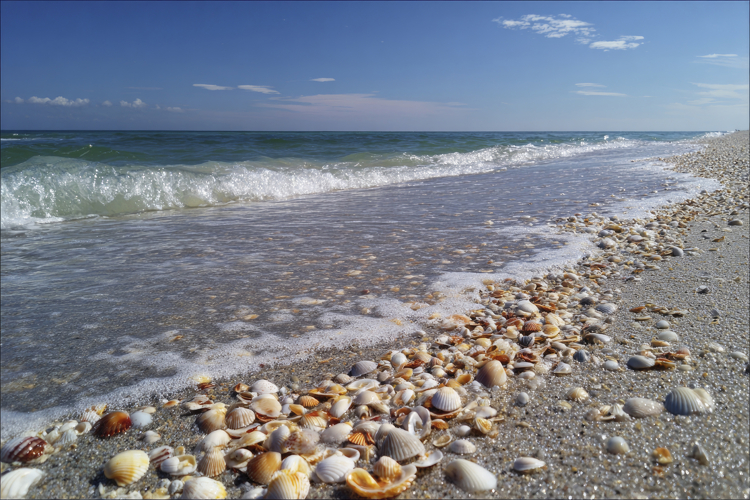 Beach Texture Image 10