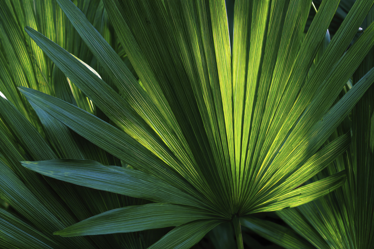 Texture Background Image 15