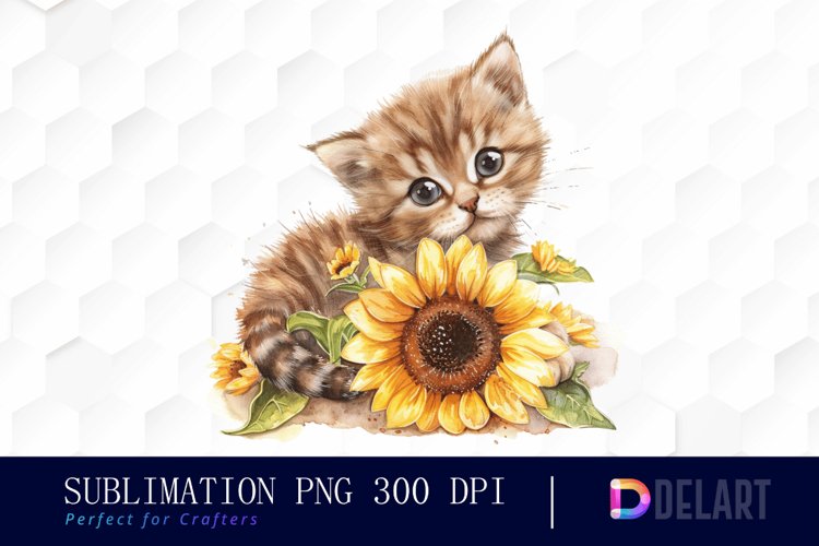 Kitten Png Image 8