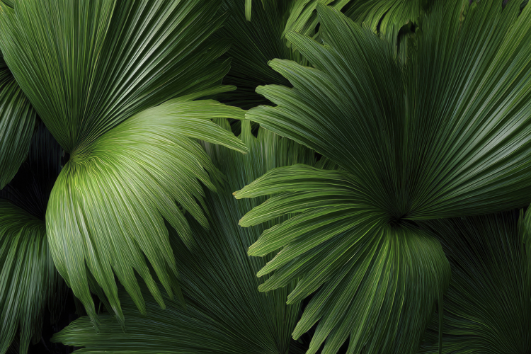 Green Leaves Pattern Background