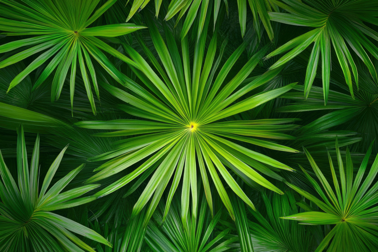 Green Texture Background Image 20