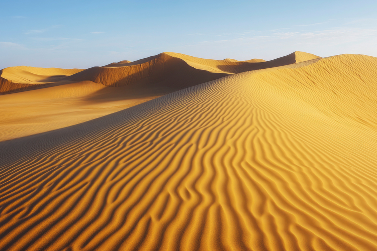Sand Background