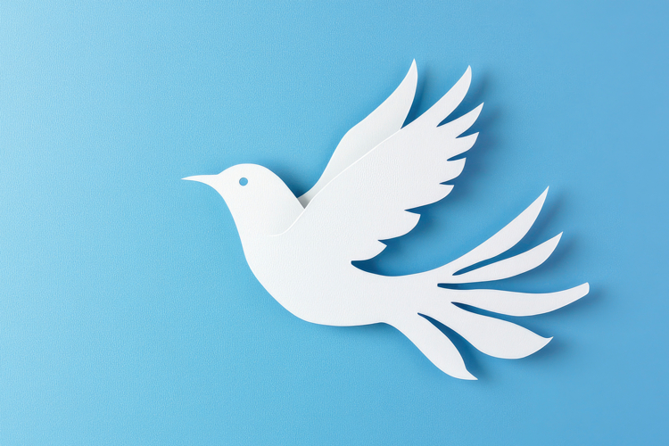 Wallpaper White Background Image 5