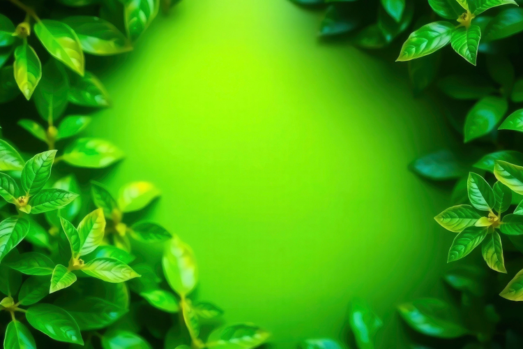 Leaf Texture Image 13