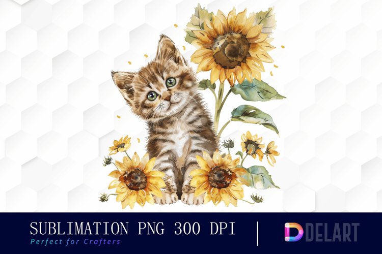 Kitten Png Image 7