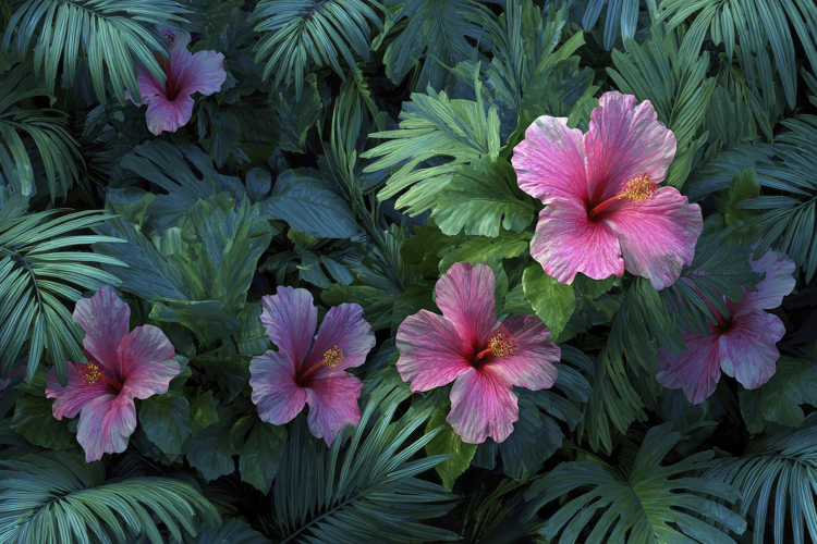 Pink Background Image 15