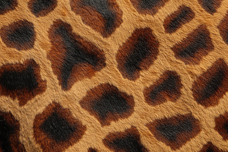 Animal Skin Pattern Background Wallpaper