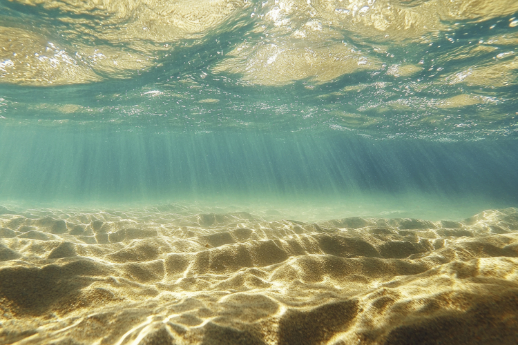 Underwater Background Image 10