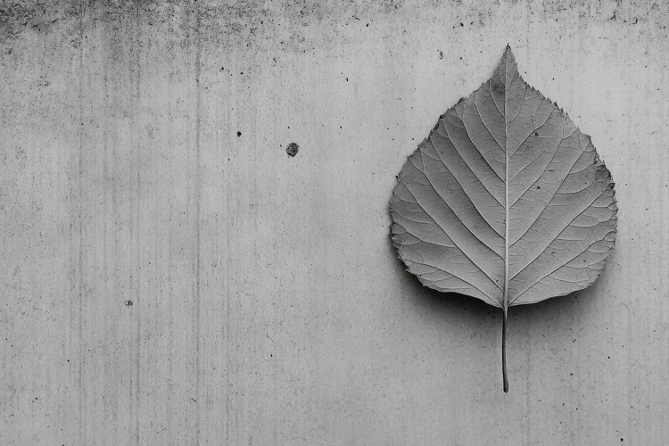 Leaf Texture Image 11