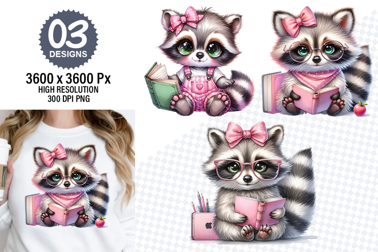 Raccoon Illustration Image 3