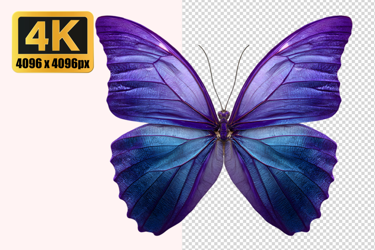 Stecknadel Png Image 18