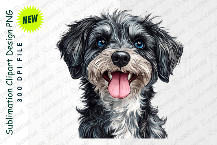 Pet Illustration Image 19