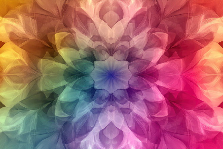 Floral Texture Image 11