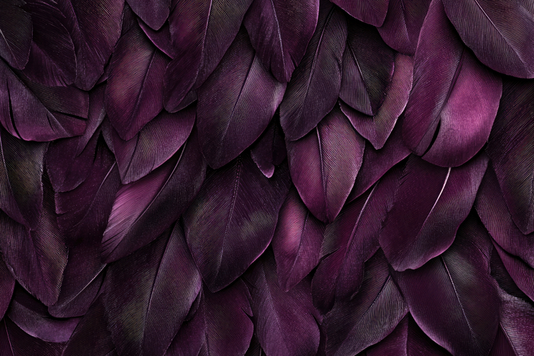 Purple Background Image 2