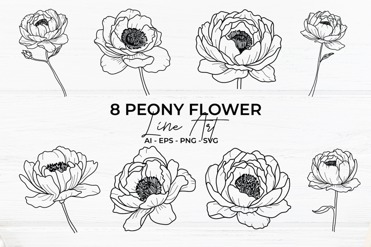 Peony Flower Line Art