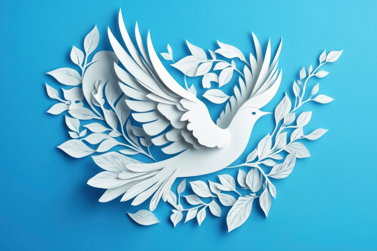 Wallpaper White Background Image 12