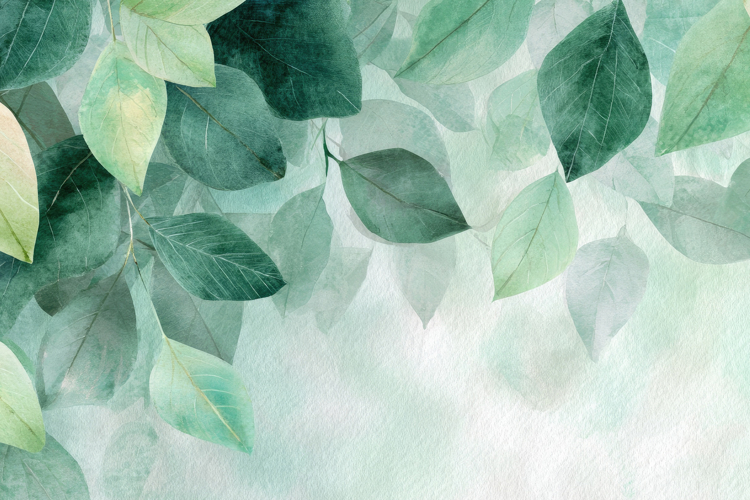 Green Wallpaper Image 9