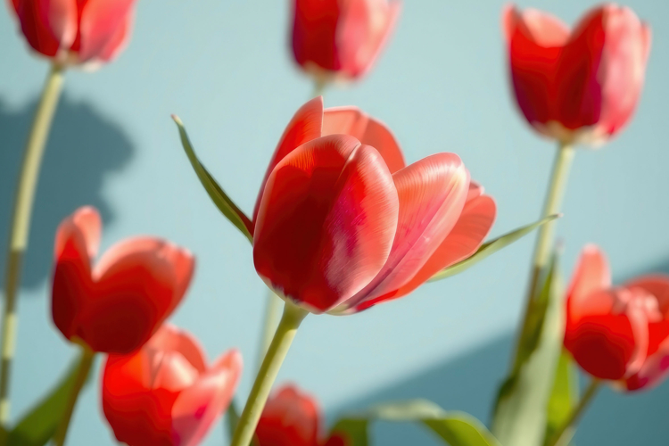 Sublimation Background Image 13