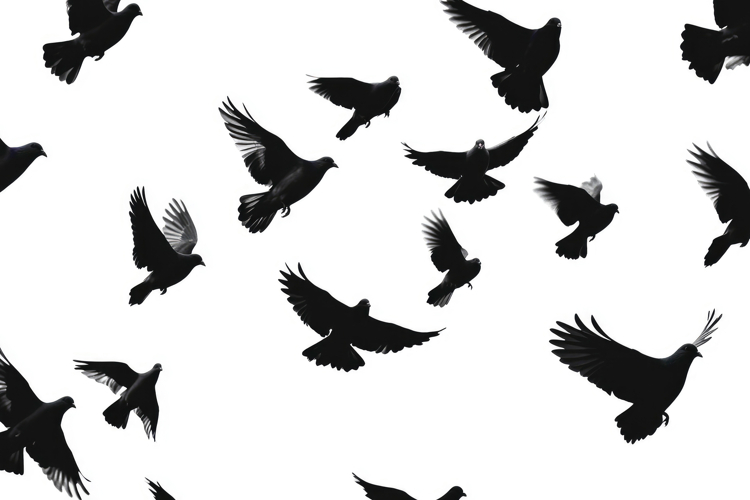 Flying Birds Background Wallpaper