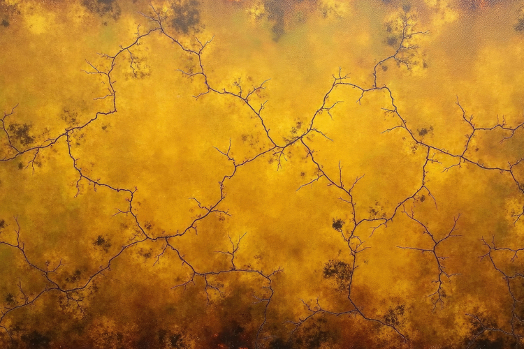 Grunge Background Image 22
