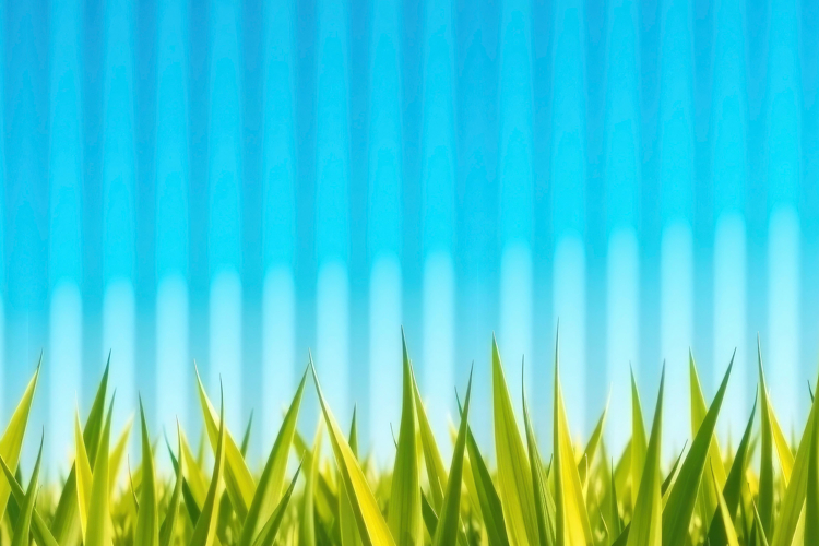 Blue Texture Image 8