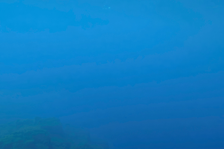 Underwater Background Image 6