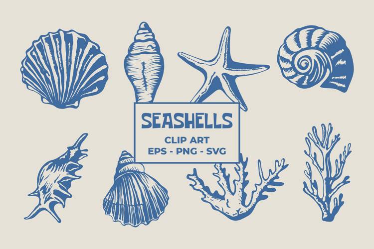 Seashells Clipart