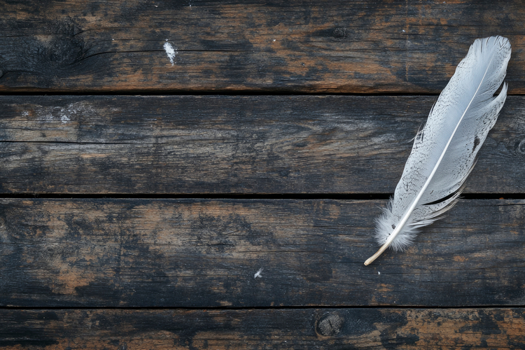 Feather Clipart Image 21