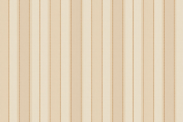 Stripe Texture Image 22