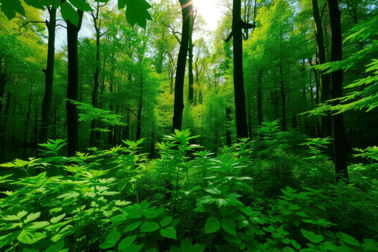 Green Texture Background Image 22
