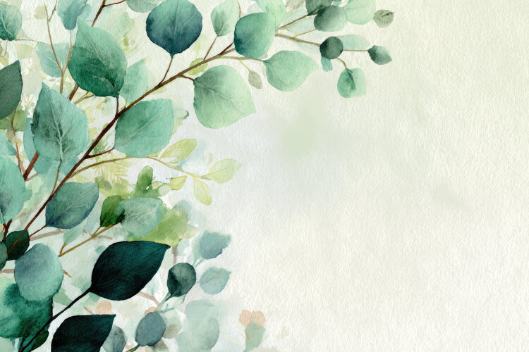 Eucalyptus Leaves example image 1