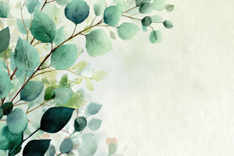 Eucalyptus Leaves