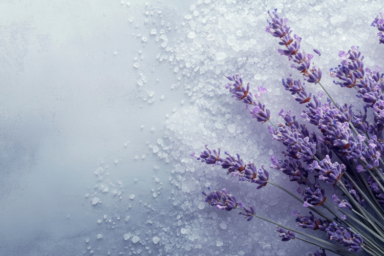 Lavender Wallpaper Image 13