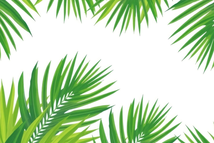 Palm Leaf Clipart Image 12