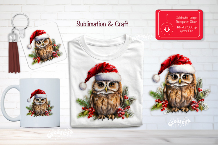Christmas Watercolor Clipart Sublimation holiday owl