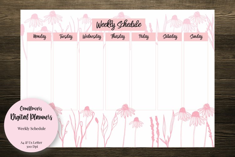Coneflowers Weekly Schedule example image 1